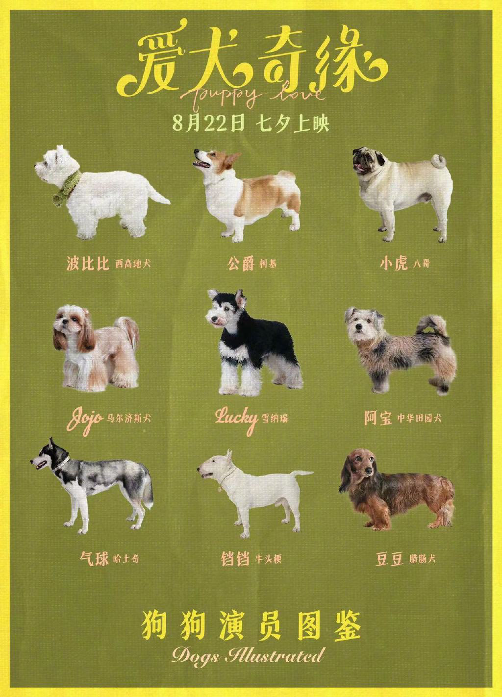 《爱犬奇缘》超萌狗狗出击！演员图鉴曝光