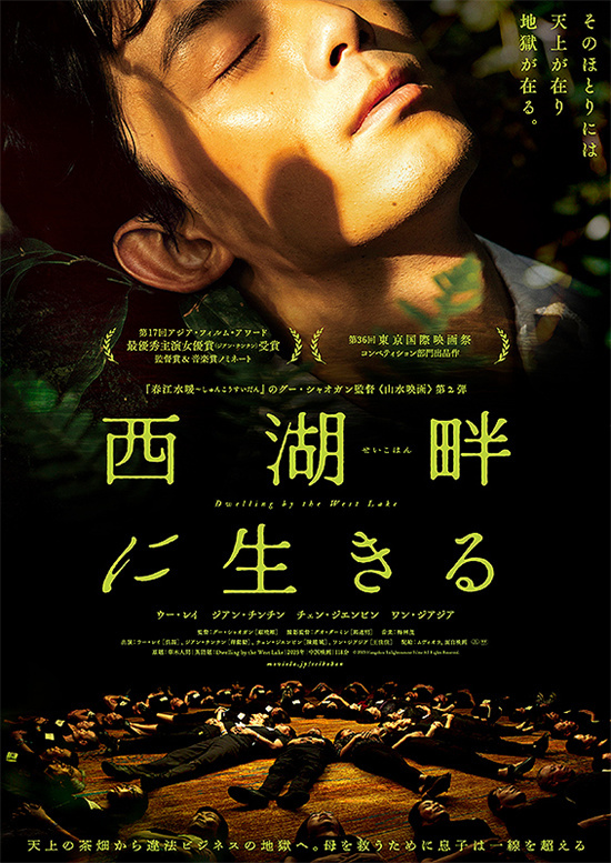 吴磊蒋勤勤主演电影《草木人间》发布日本版海报，将于9月27日在日本上映-1