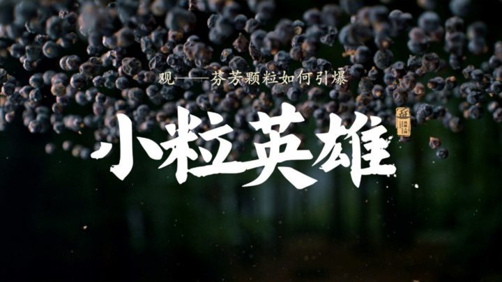 《风味人间5·香料传奇》首映会 陈晓卿分享11月28日首播-2