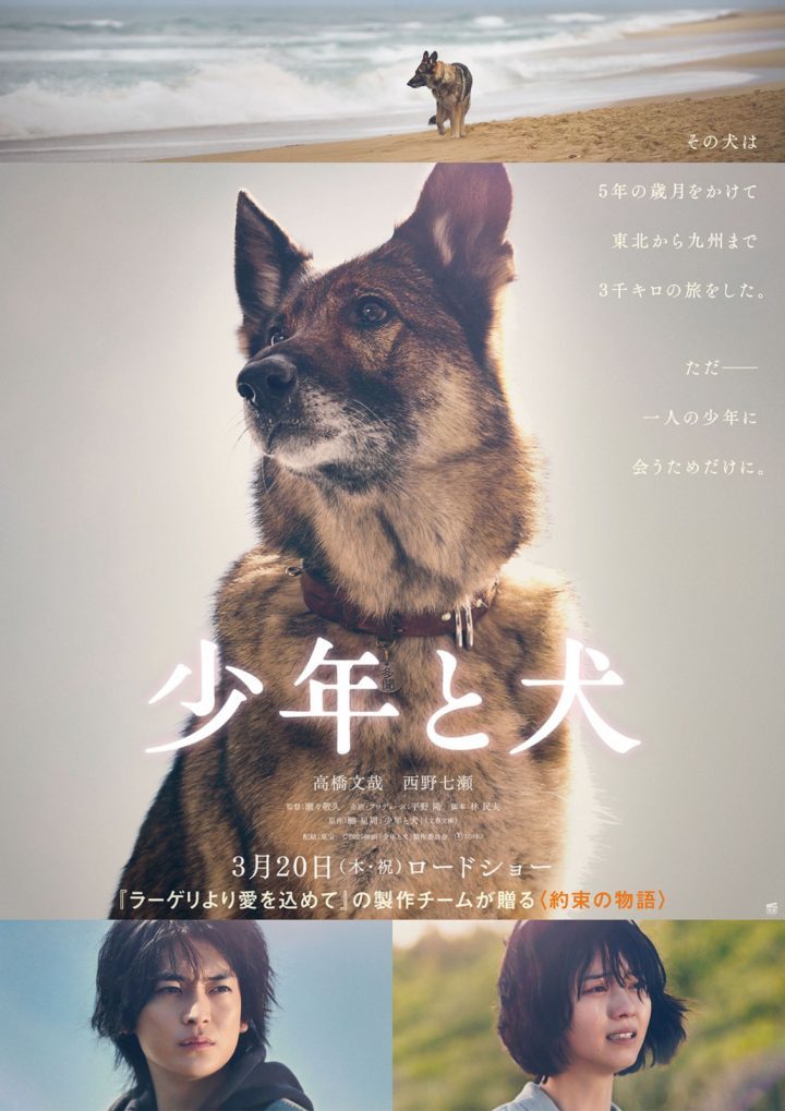 高桥文哉主演《少年与犬》首曝预告-1