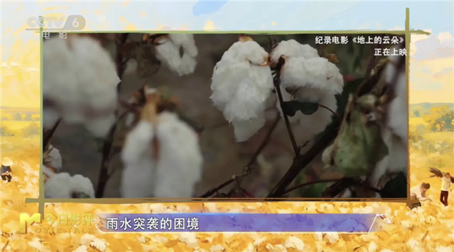 《地上的云朵》高清版【BD1280P/3.6G-MP4】国语版迅雷资源在线看阿里网盘-4
