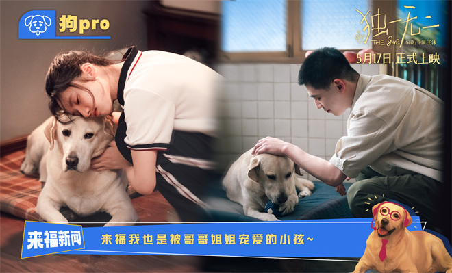 《独一无二》百度云「HD720P/3.6G-MKV」国语版资源下载链接加长版-1