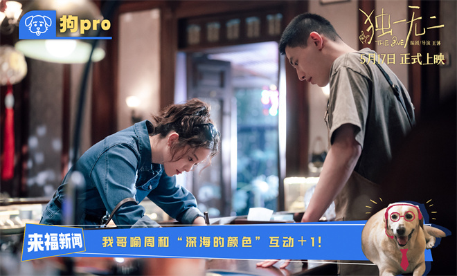 《独一无二》百度云「HD720P/3.6G-MKV」国语版资源下载链接加长版-3